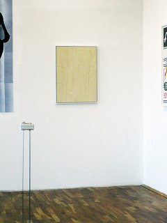 Friedrich Fröhlich: (verhüllte Arbeit)