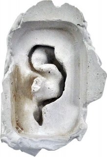 Friedrich Fröhlich: Ohr