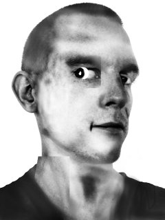 Friedrich Fröhlich: Selbstbildnis