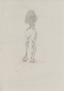 Friedrich Fröhlich: Kopffüßler