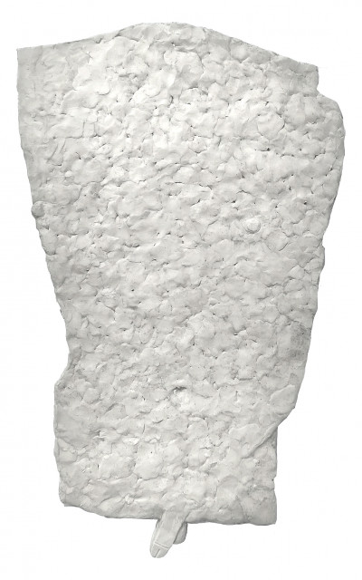Friedrich Fröhlich: Rumpf
