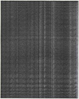 Friedrich Fröhlich: Schwarze Fläche