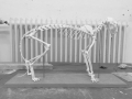 skelettmontage-31.jpg