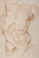 Studie nach dem Laokoon, 1620, Bernini