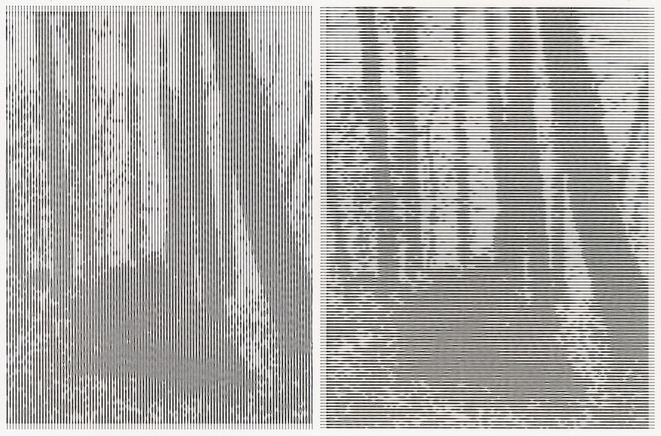 Friedrich Fröhlich: Waldstück