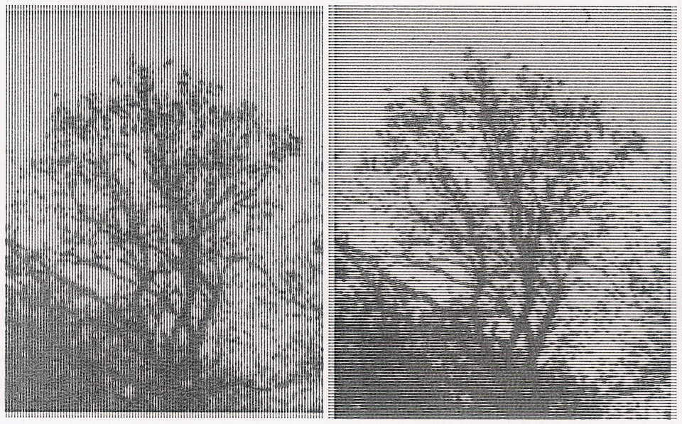 Friedrich Fröhlich: Waldstück
