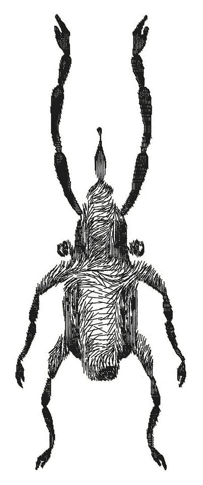 Friedrich Fröhlich: Friedricus penius achillesfersa