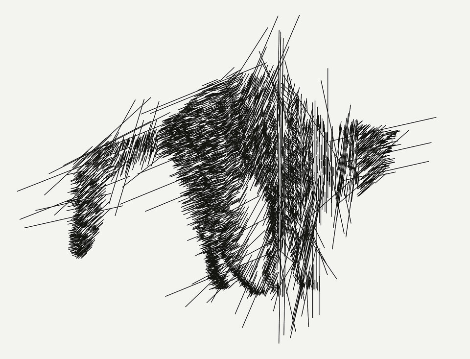 Meine Katze, Friedrich Fröhlich