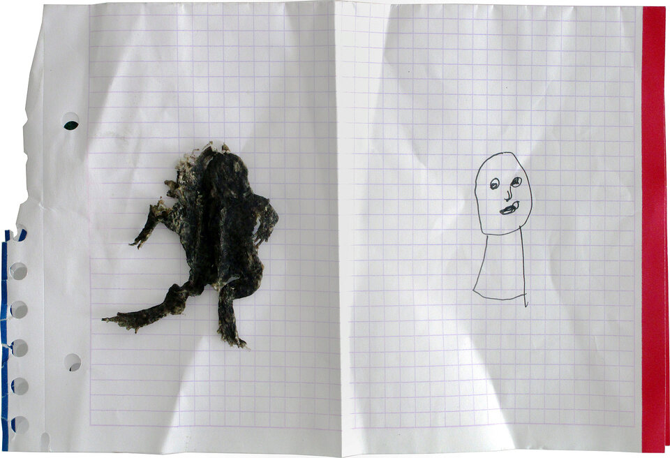 Friedrich Fröhlich: Froschporträt