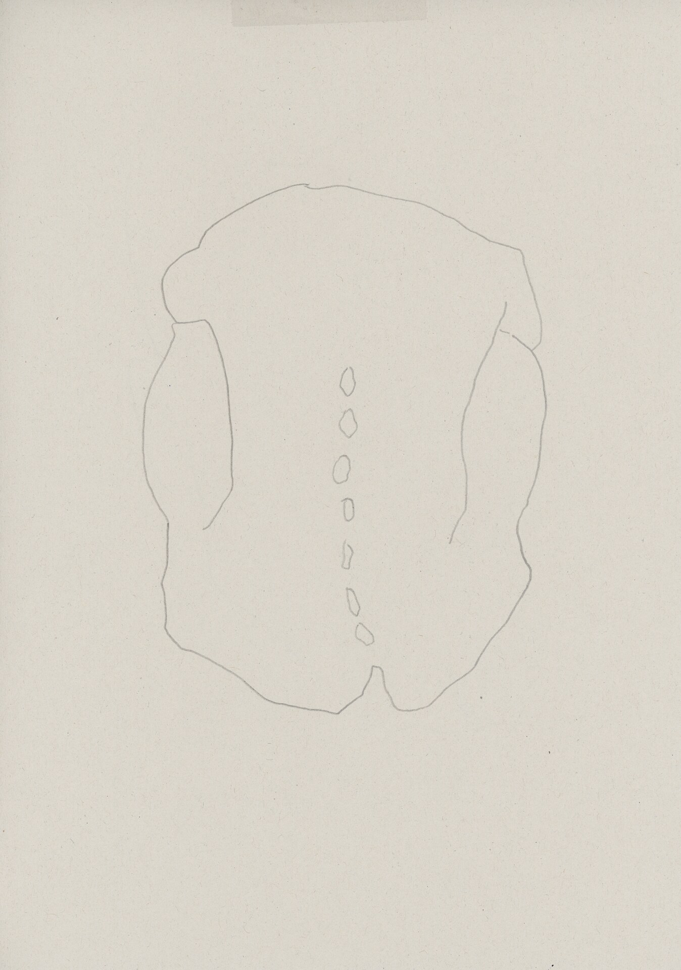 Friedrich Fröhlich: Rückenstudie